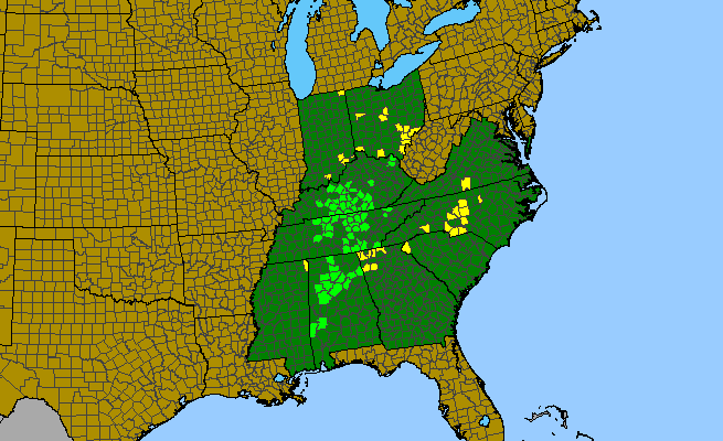 The range of Cardamine dissecta